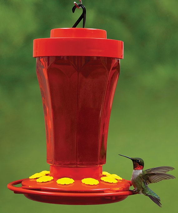 Hummingbird Feeders