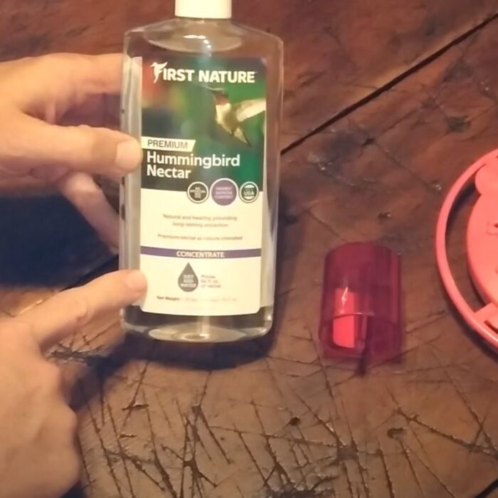 16 oz nectar review